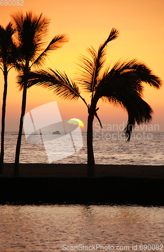 Image of Hawaii, USA, Sunset