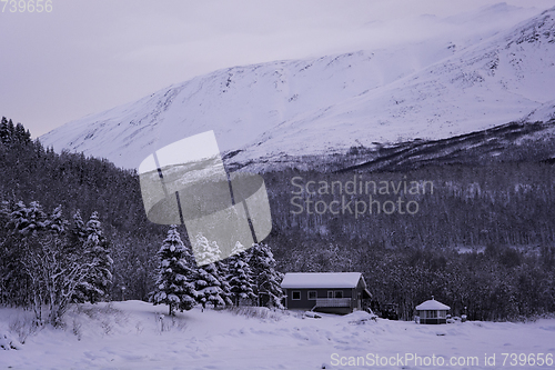 Image of Sorkjosleira Fjord, Troms, Norway