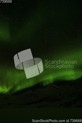 Image of Northern Lights near Tromso, Norway