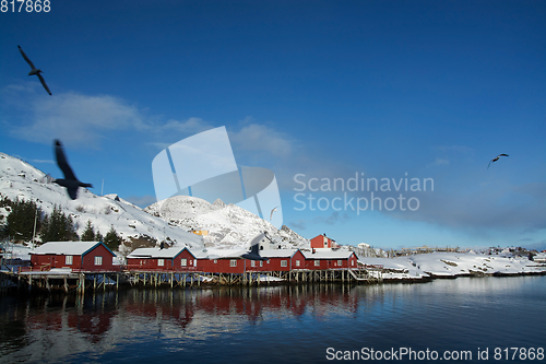 Image of Reine, Lofoten, Norway