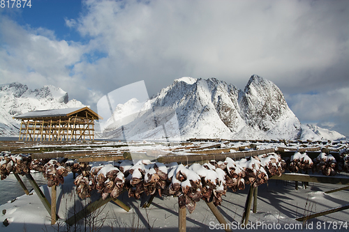 Image of Morning in Sakrisoy at the Lofoten, Norway