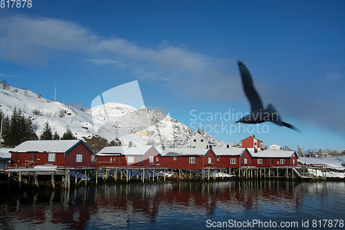 Image of Reine, Lofoten, Norway