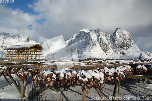 Image of Morning in Sakrisoy at the Lofoten, Norway