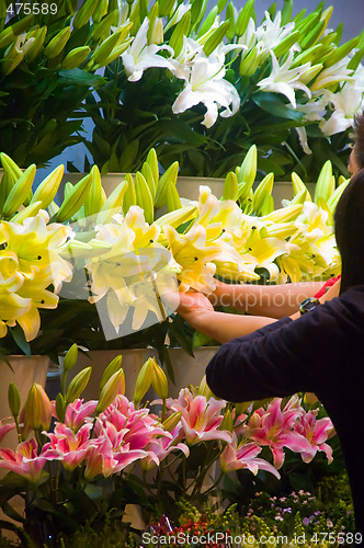 Image of flowers market