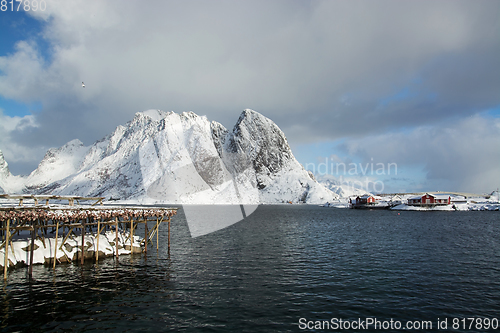 Image of Morning in Sakrisoy at the Lofoten, Norway