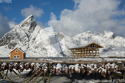 Image of Morning in Sakrisoy at the Lofoten, Norway