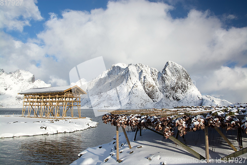 Image of Morning in Sakrisoy at the Lofoten, Norway