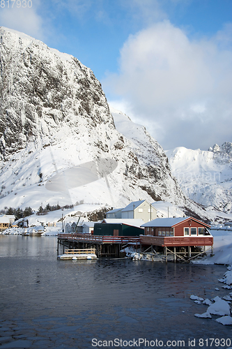 Image of Morning in Hamnoya at the Lofoten, Norway