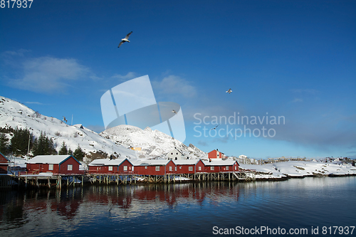 Image of Reine, Lofoten, Norway