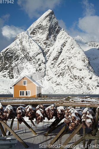 Image of Morning in Sakrisoy at the Lofoten, Norway