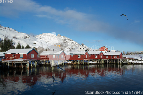 Image of Reine, Lofoten, Norway