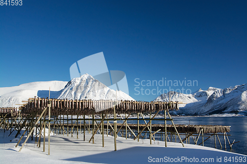 Image of Barstrand, Lofoten, Norway