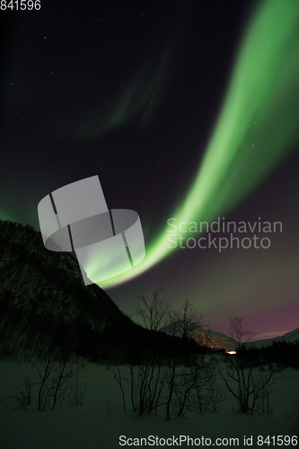 Image of Northern Lights near Lyfjord, Norway