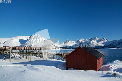 Image of Barstrand, Lofoten, Norway