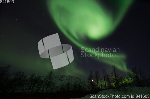 Image of Northern Lights near Lyfjord, Norway