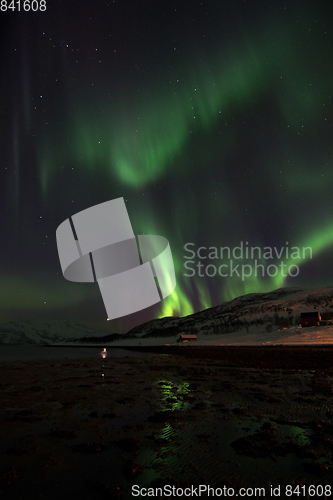 Image of Northern Lights in Lyfjord, Norway