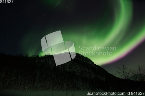 Image of Northern Lights near Lyfjord, Norway