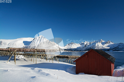 Image of Barstrand, Lofoten, Norway