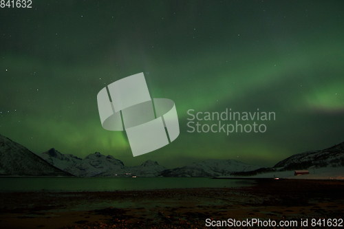 Image of Northern Lights in Lyfjord, Norway