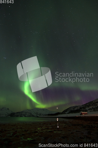 Image of Northern Lights in Lyfjord, Norway