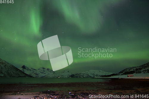 Image of Northern Lights in Lyfjord, Norway