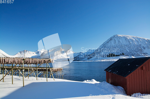 Image of Barstrand, Lofoten, Norway