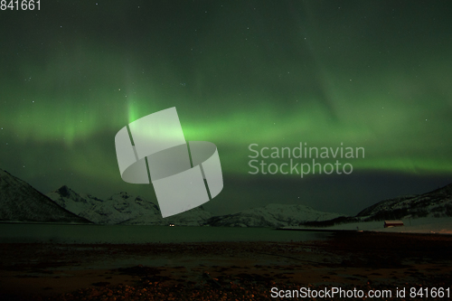 Image of Northern Lights in Lyfjord, Norway