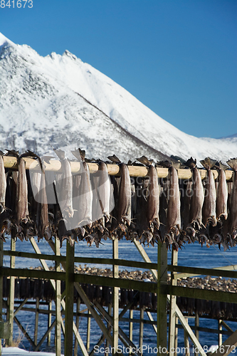 Image of Barstrand, Lofoten, Norway