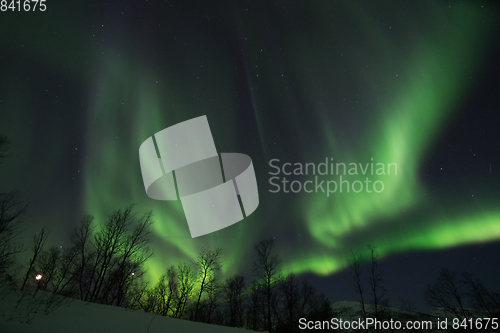 Image of Northern Lights near Lyfjord, Norway