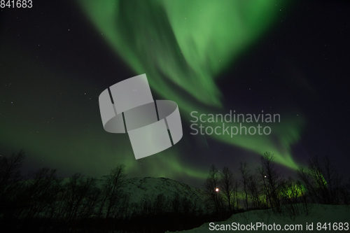 Image of Northern Lights near Lyfjord, Norway