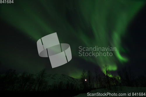 Image of Northern Lights near Lyfjord, Norway