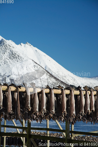 Image of Barstrand, Lofoten, Norway