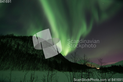 Image of Northern Lights near Lyfjord, Norway