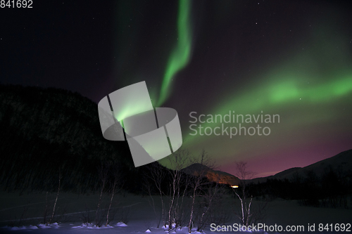 Image of Northern Lights near Lyfjord, Norway