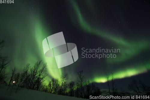 Image of Northern Lights near Lyfjord, Norway