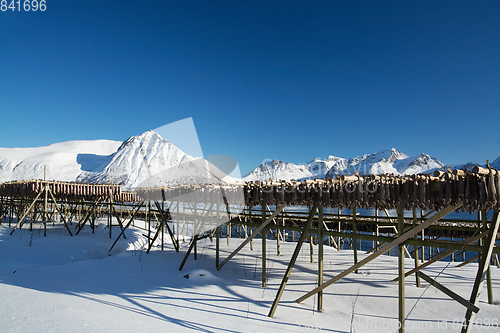 Image of Barstrand, Lofoten, Norway