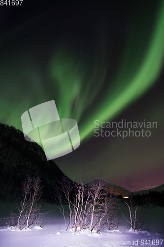 Image of Northern Lights near Lyfjord, Norway