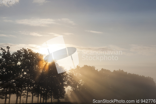 Image of Beautiful sunbeams