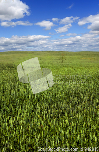 Image of spring landscape
