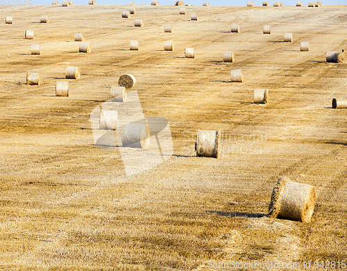 Image of summer landscape