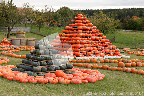 Image of Autumn harvested pumpkins arranged for fun like pyramid