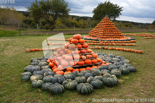 Image of Autumn harvested pumpkins arranged for fun like pyramid