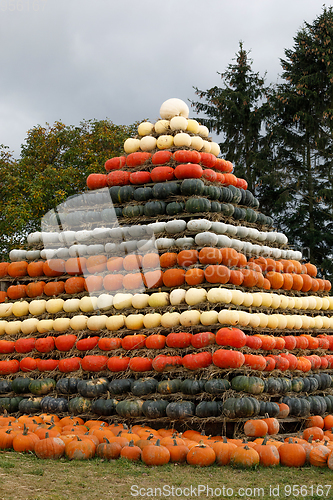 Image of Autumn harvested pumpkins arranged for fun like pyramid