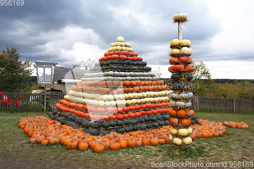 Image of Autumn harvested pumpkins arranged for fun like pyramid