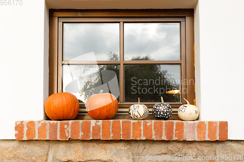 Image of Autumn harvested pumpkins arranged on window