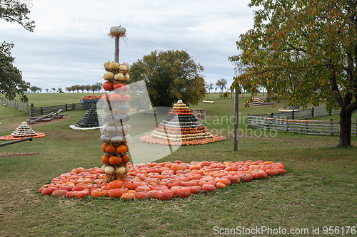 Image of Autumn harvested pumpkins arranged for fun like pyramid