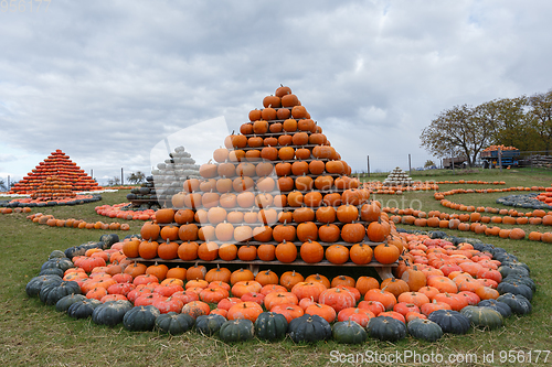 Image of Autumn harvested pumpkins arranged for fun like pyramid