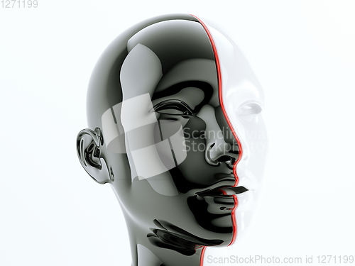 Image of human head separated by red line as symbol of diversity