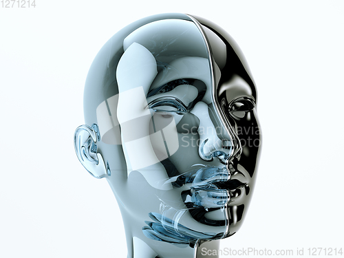 Image of Glass human head separated by line as symbol of balance and dive