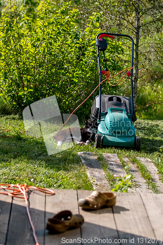 Image of Cat sleeping at the lawnmower. 